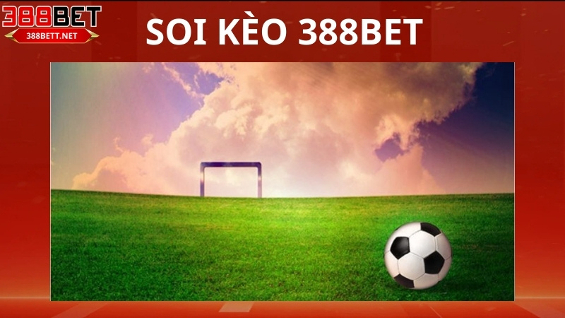 Tìm hiểu về soi kèo 388bet